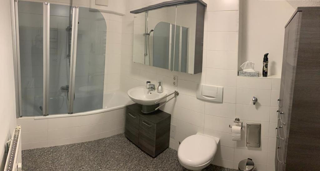 Apartment Altstadt ピルナ エクステリア 写真