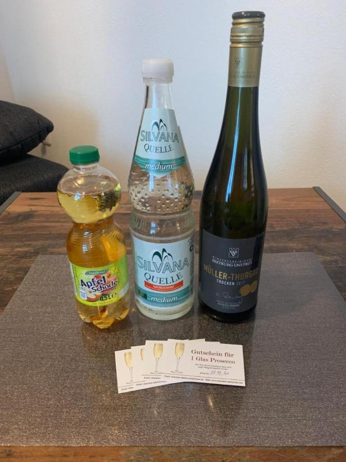 Apartment Altstadt ピルナ エクステリア 写真