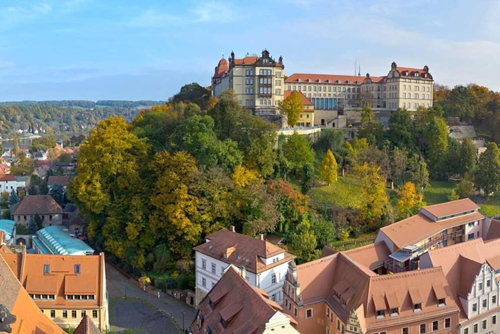 Apartment Altstadt ピルナ エクステリア 写真